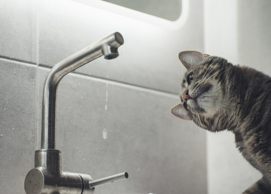 Два района Одессы и пригороды остались без воды